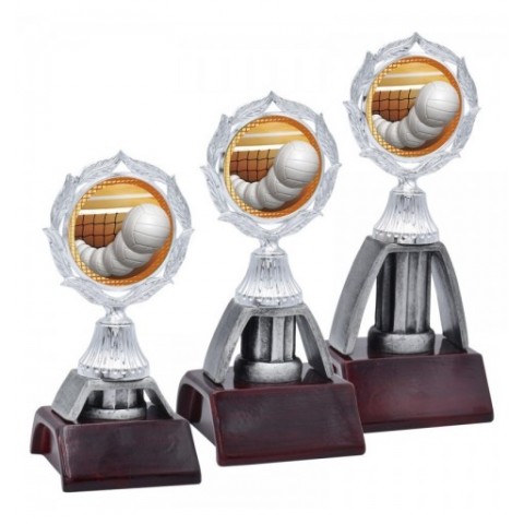 Trofeo Voleibol 447