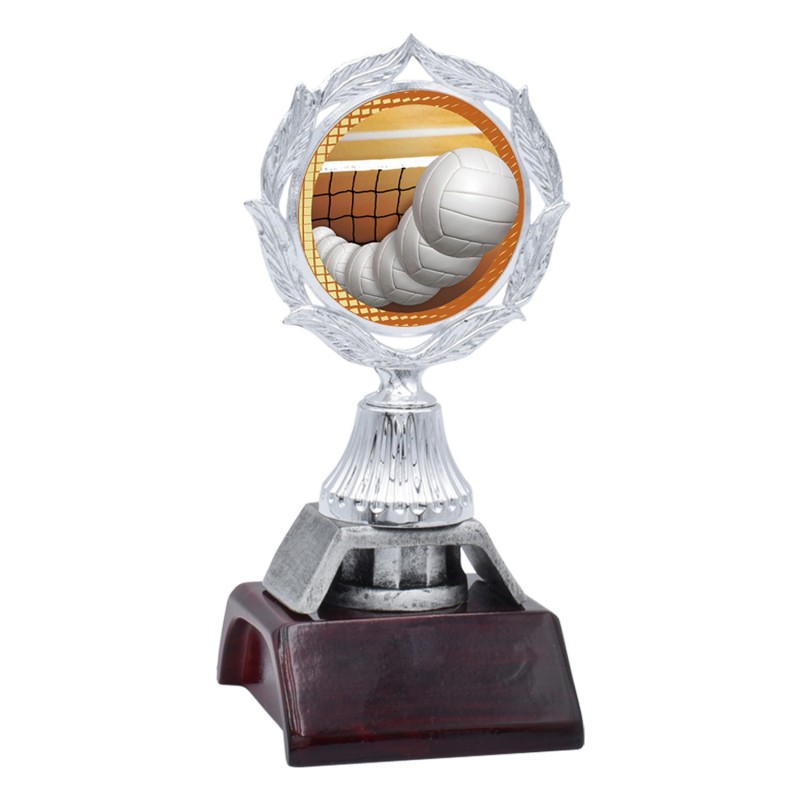 Trofeo Voleibol 447