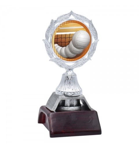 Trofeo Voleibol 447