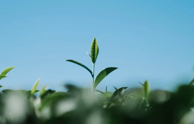 Medioambiente